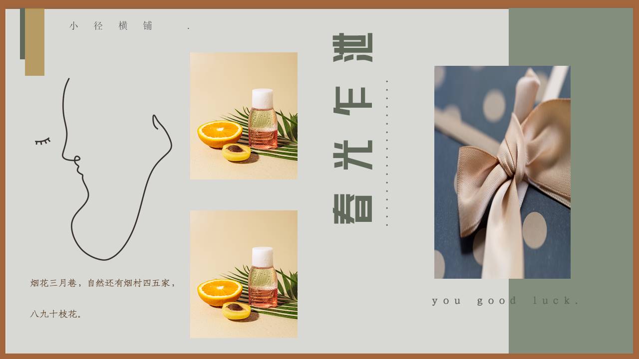 莫兰迪 (86).pptx